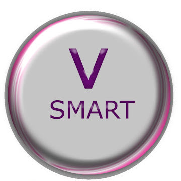 V SMART GLOBAL